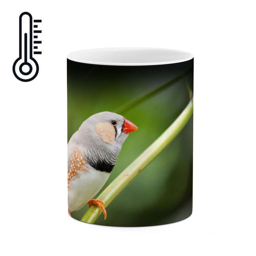 ماگ حرارتی طرح فنچ  مدل mgph14150