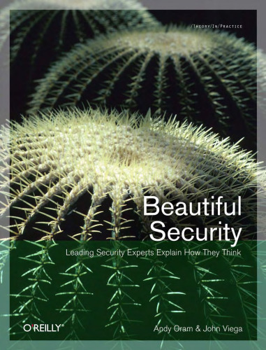 خرید و دانلود نسخه کامل کتاب Beautiful security