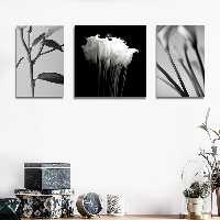 تابلو شاسی دنیای قابطرح دکوراتیو گل شیپوری سیاه و سفید مدل SH-1453 مجموعه 3 عددی | دنیای قاب