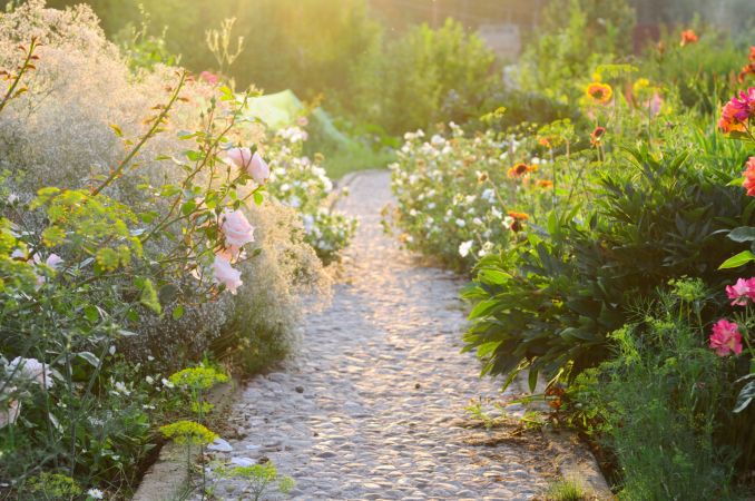 خرید و دانلود عکس Flower-Part-8 کد 18356 | پیک فاکس | Pic Fox