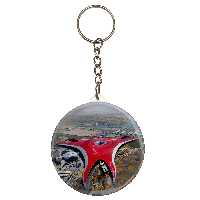 جاکلیدی طرح شرکت ماشین فراری مدل S10210