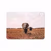 برچسب پوششی ماهوت مدل Elephant مناسب برای تبلت اپل iPad Pro 11 (GEN 2) 2020 A2230