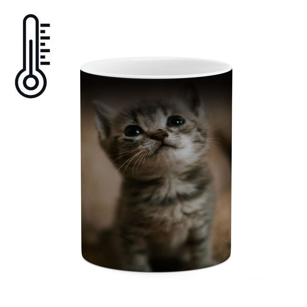 ماگ حرارتی کاکتی طرح گربه مدل mgh14521