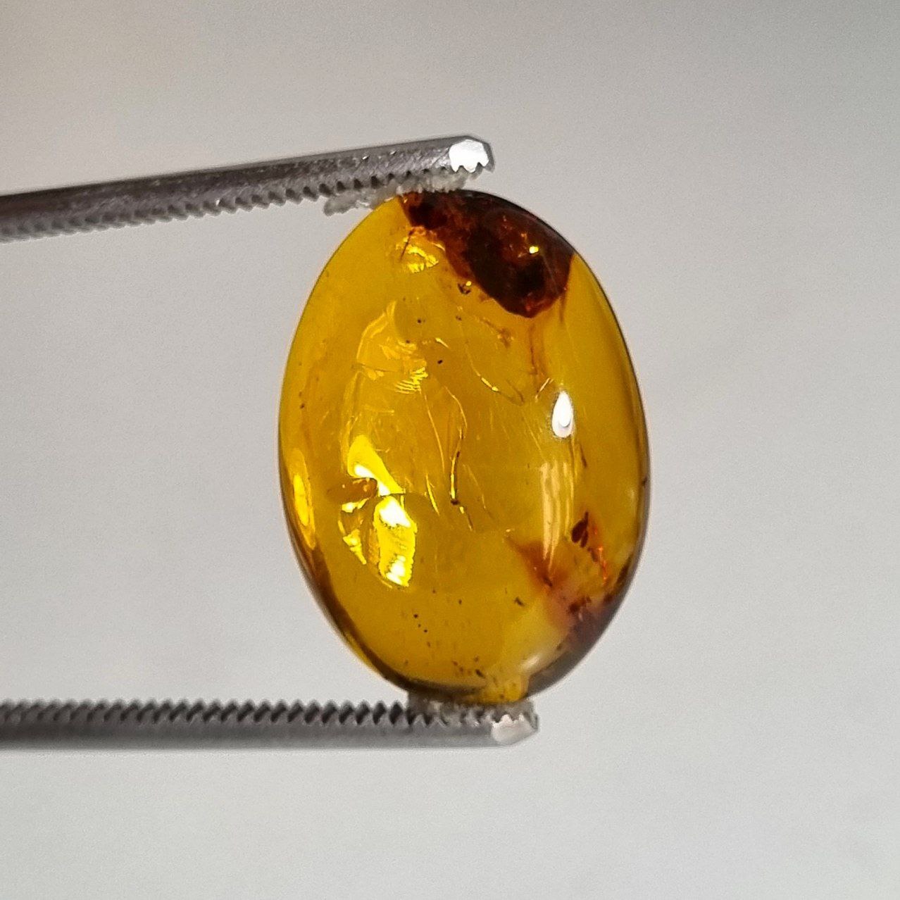 سنگ کهربا بیضی طبیعی بالتیک 8108