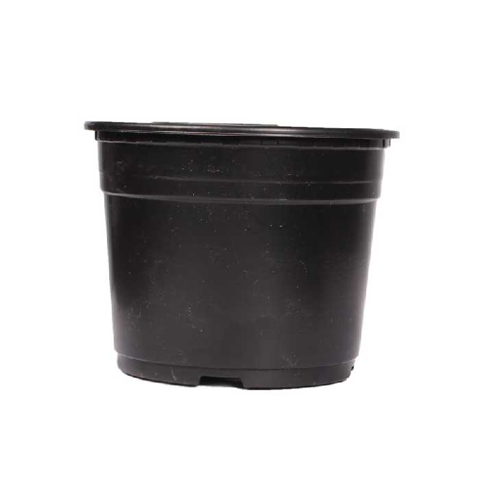 گلدان ژله ای دایره ای