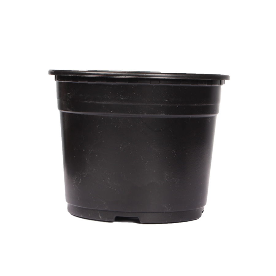 گلدان ژله ای دایره ای