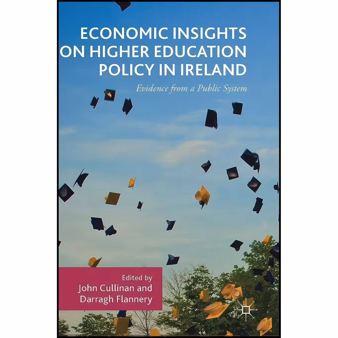 کتاب زبان اصلی Economic Insights on Higher Education Policy in Ireland