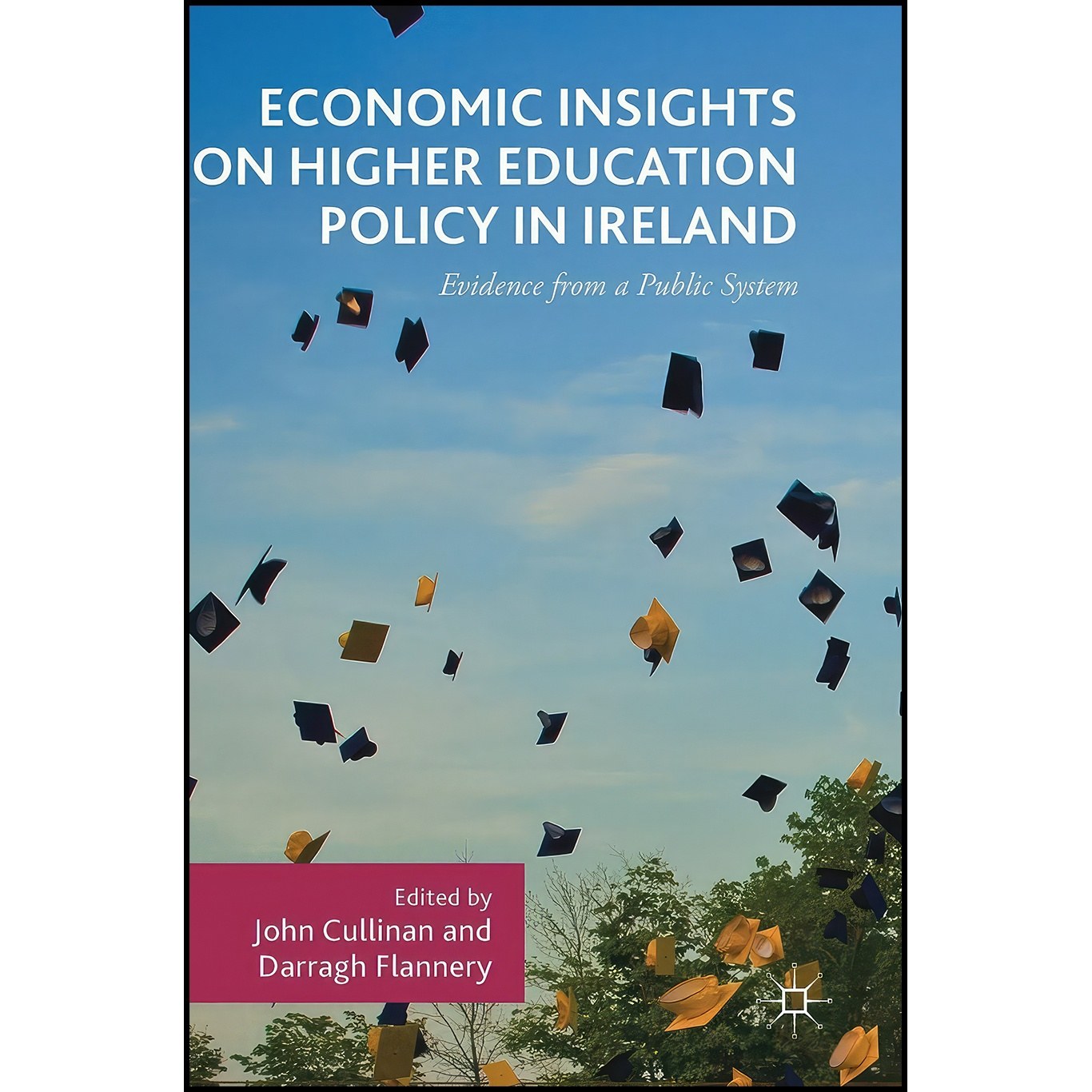 کتاب زبان اصلی Economic Insights on Higher Education Policy in Ireland