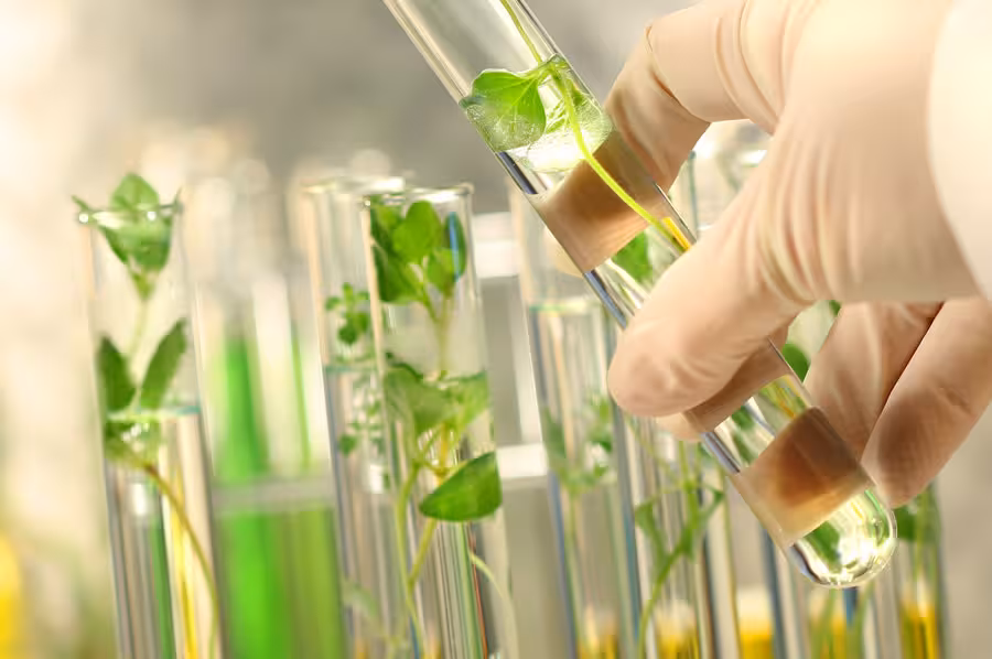 پاورپوینت Crop Biotechnology
