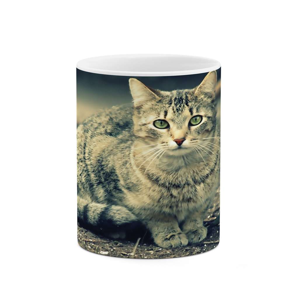 ماگ طرح گربه مدل mug04706