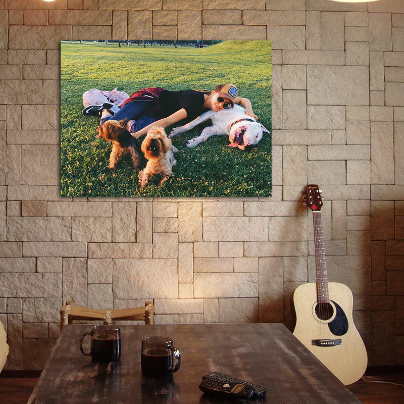 تابلو شاسی مدل آلینا بوز کد 24 | دنیای قاب