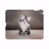 برچسب پوششی ماهوت مدل Cat-2 مناسب برای تبلت اپل iPad 2 2011 A1396