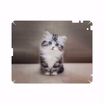 برچسب پوششی ماهوت مدل Cat-2 مناسب برای تبلت اپل iPad 2 2011 A1396