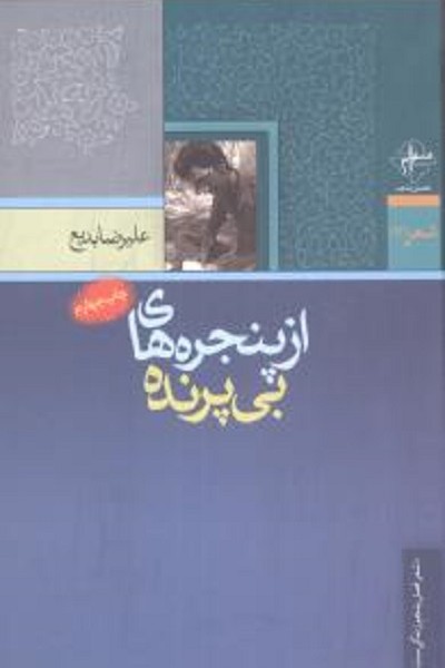 از پنجره های بی پرنده