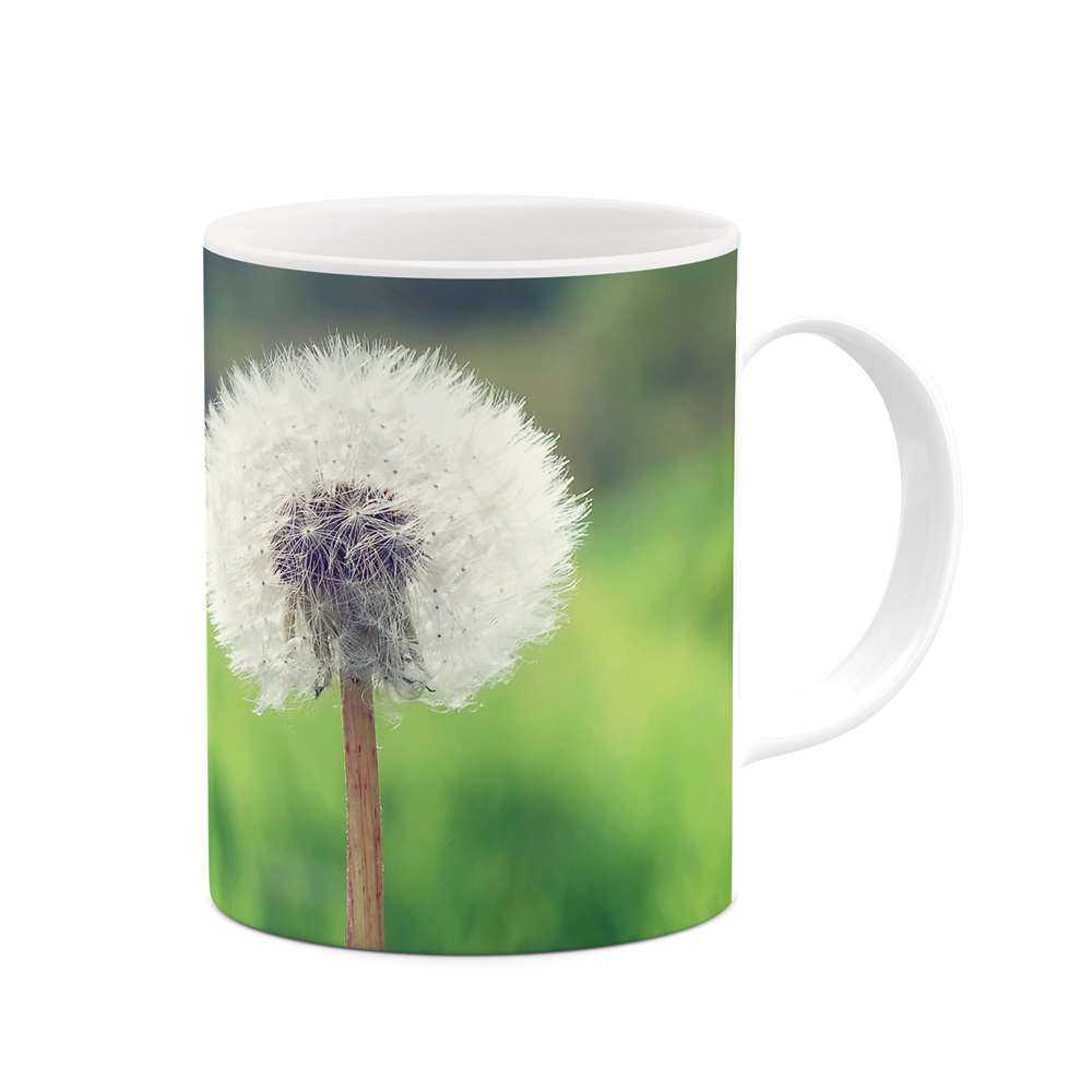 ماگ طرح قاصدک مدل mgs12056