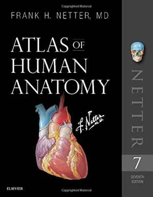 [PDF] دانلود کتاب Atlas Of Human Anatomy, 7th ed, 2018