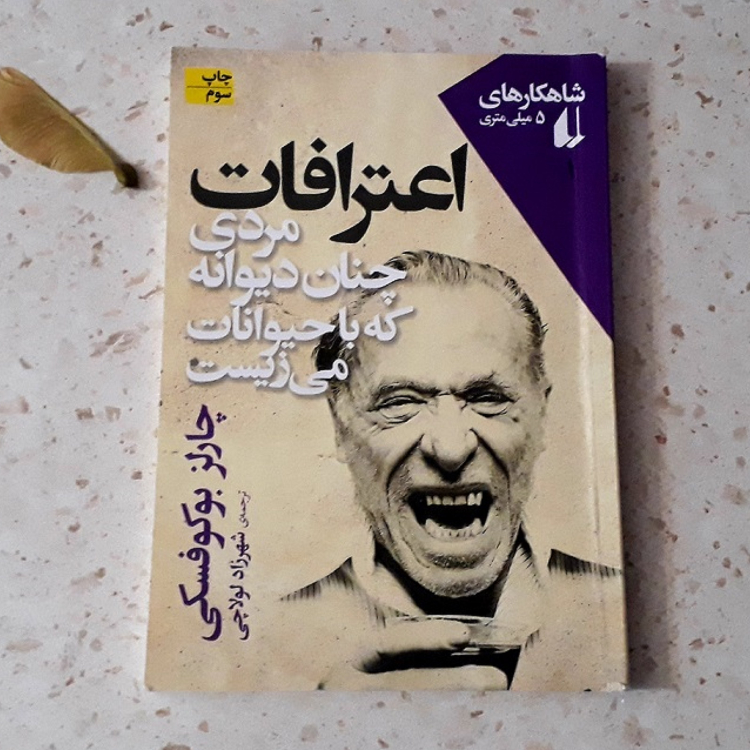 کتاب شاهکارهای 5 میلیمتری (اعترافات ) مردی چنان دیوانه که باحیوانات می زیست .