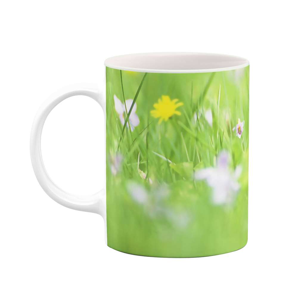 ماگ طرح گل مدل mgs05641