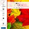 برچسب پوششی ماهوت مدل Fall Season-FullSkin مناسب برای گوشی موبایل شیائومی Poco F4 GT 5G