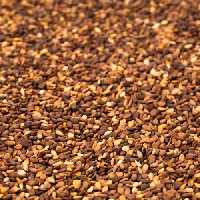 کنجد قهوه ای