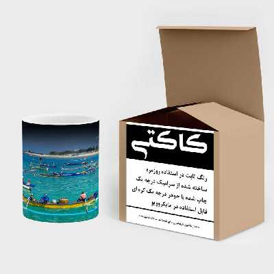 ماگ حرارتی کاکتی طرح قایق مدل mgh15235