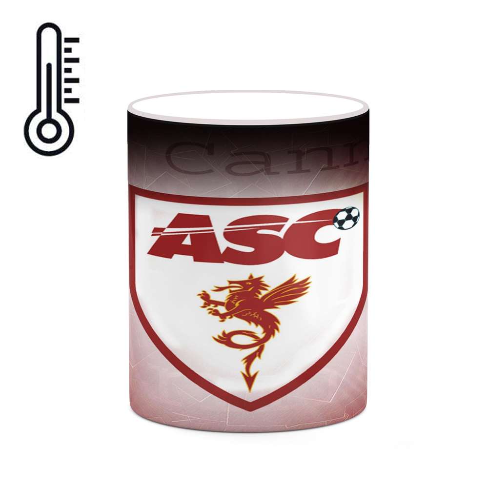 ماگ حرارتی کاکتی طرح تیم Cannes مدل mgh19721