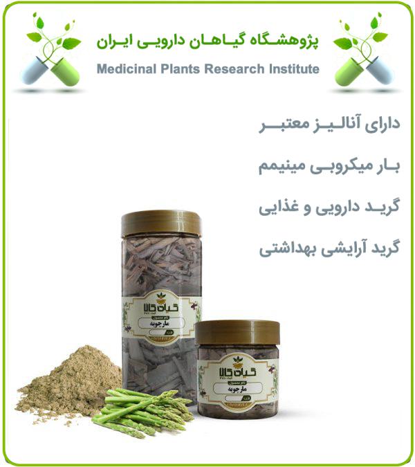 گیاه مارچوبه خشک یا پودری بسته بندی شده