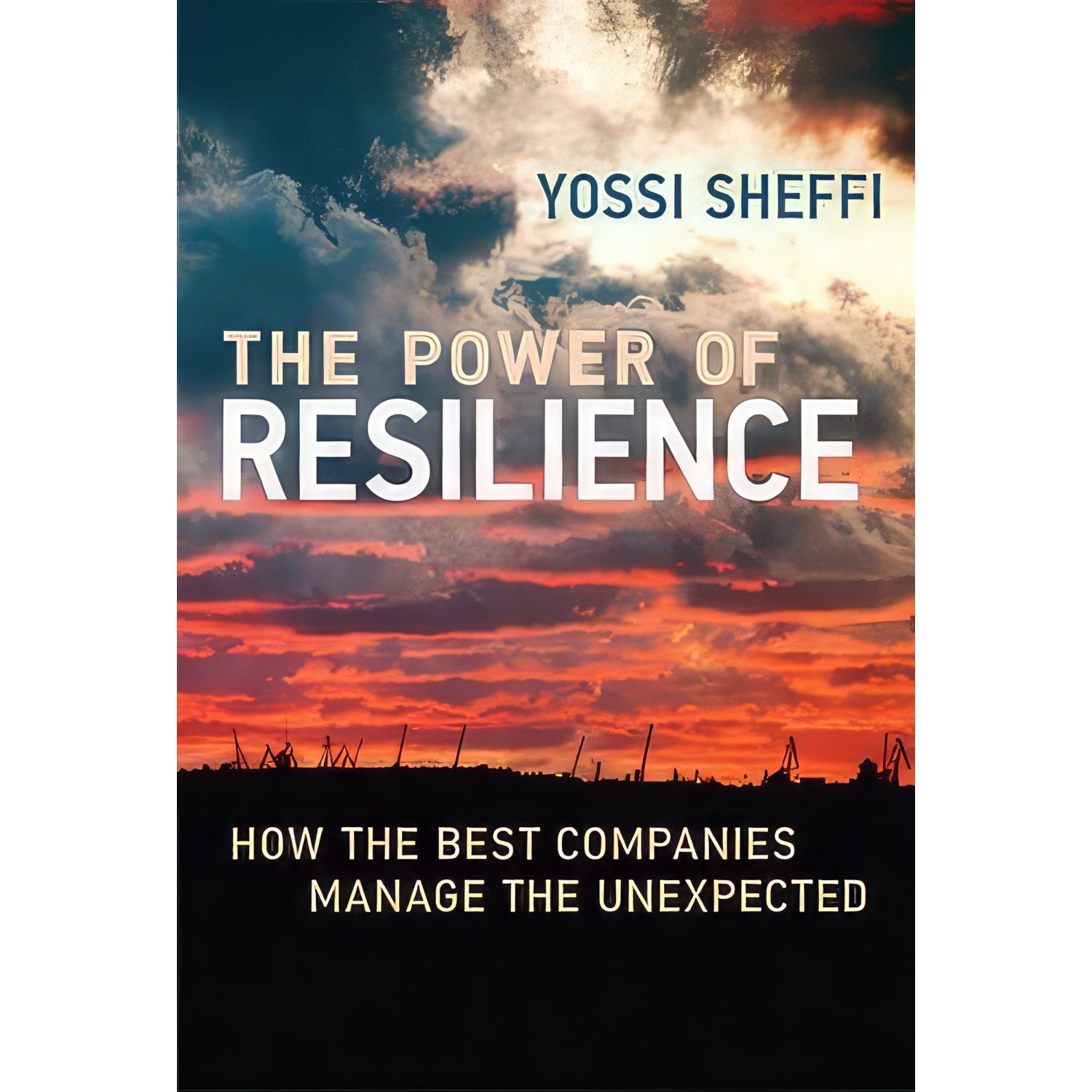 کتاب The Power of Resilience اثر Yossi Sheffi انتشارات The MIT Press