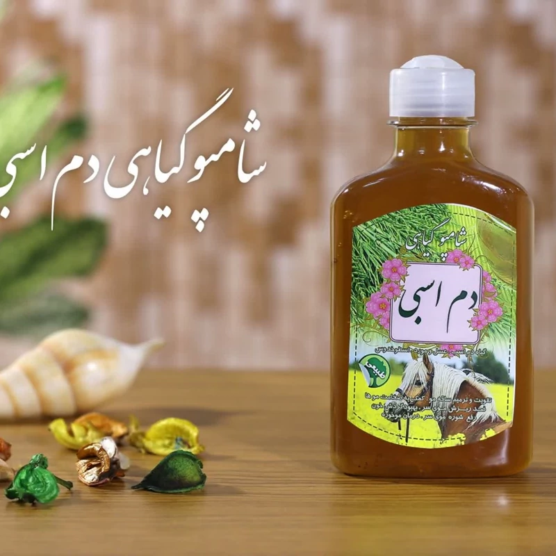شامپو گیاهی دم اسبی برکت (بهبود کیفیت مو)(مناسب موهای معمولی و خشک)(مناسب افراد دموی و صفراوی) | amazonchi