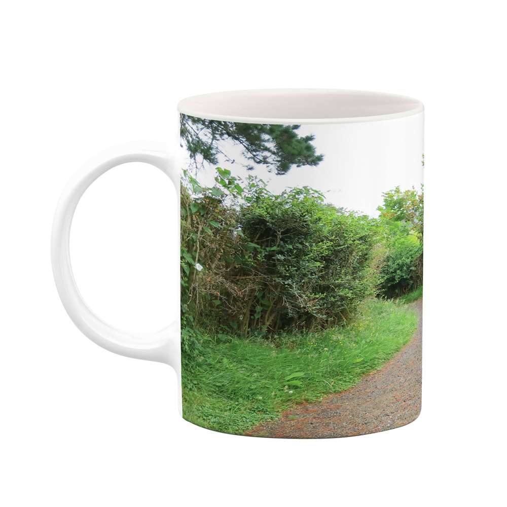 ماگ طرح طبیعت مدل mgs05701