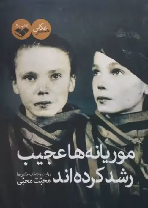 موریانه ها عجیب رشد کرده اند | محبت محبی
