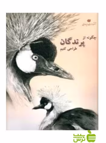 چگونه از پرندگان طراحی کنیم بهنام شریفی یساولی - سیب ترش - SibTorsh