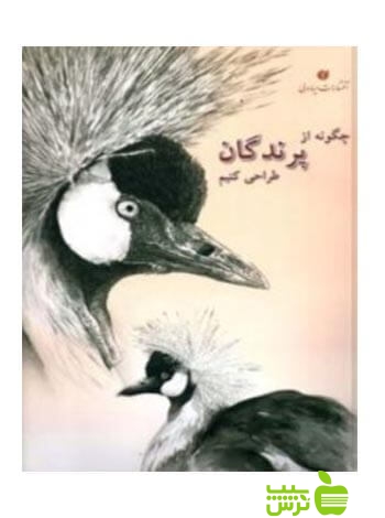 چگونه از پرندگان طراحی کنیم بهنام شریفی یساولی - سیب ترش - SibTorsh