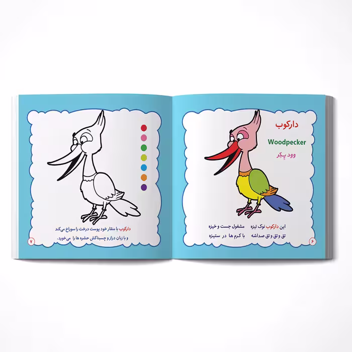 کتاب رنگ آمیزی پرندگان جنگلی اثر مریم طالشی انتشارات یاس بهشت