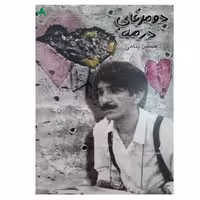 کتاب دو مرغابی در مه اثر حسین پناهی انتشارات دارینوش