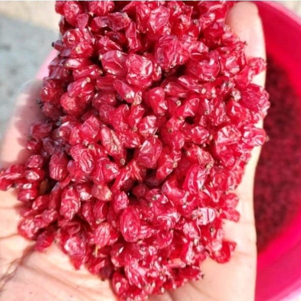 زرشک دانه اناری اعلای قاینات(500گرمی)