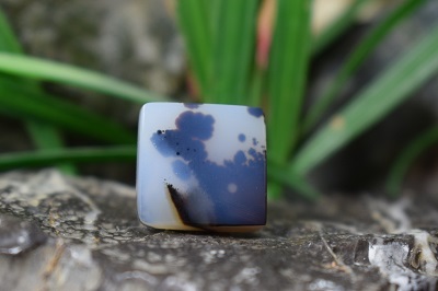 عقیق شجر برزیل