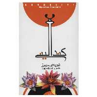 کتاب کندالینی تجربه‌ ای مرموز اثر خسرو شریف پور