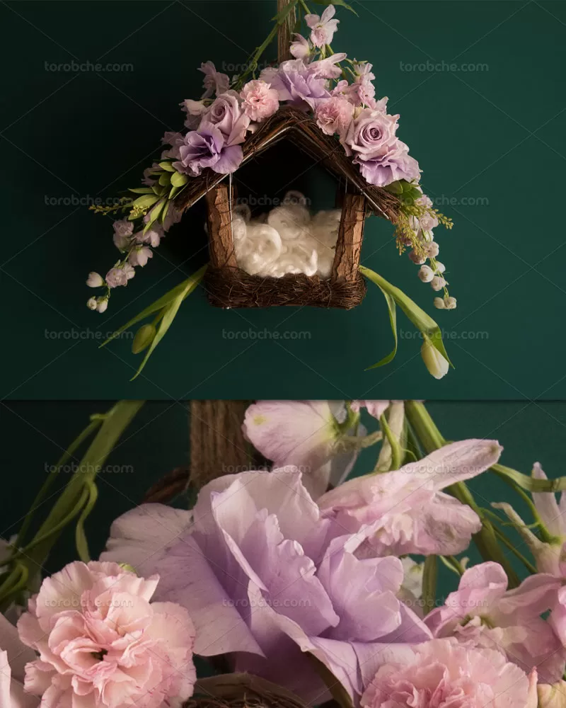 بک دراپ عکاسی لانه پرنده | گرافیک با طعم تربچه