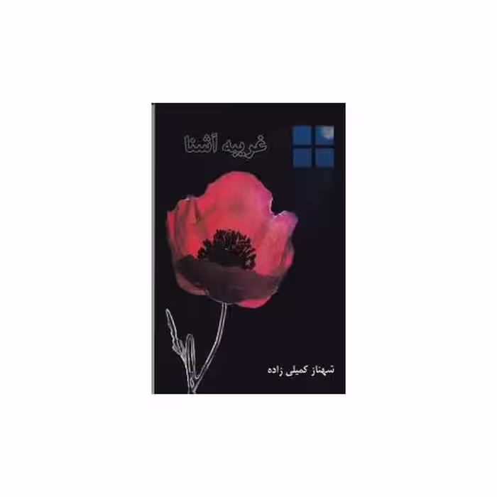 کتاب غریبه آشنا اثر شهناز کمیلی زاده