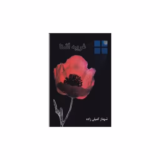 کتاب غریبه آشنا اثر شهناز کمیلی زاده