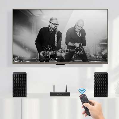 آمپلی فایر آریلیک مدل A30 