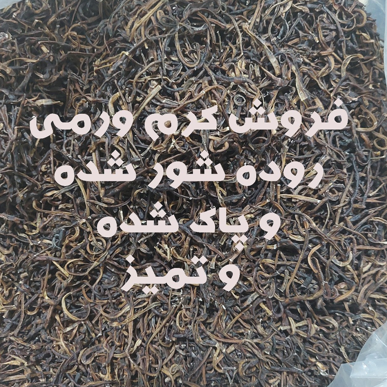 کرم ورمی خراطین خشک شده روده شور و تمیز نیم کیلو