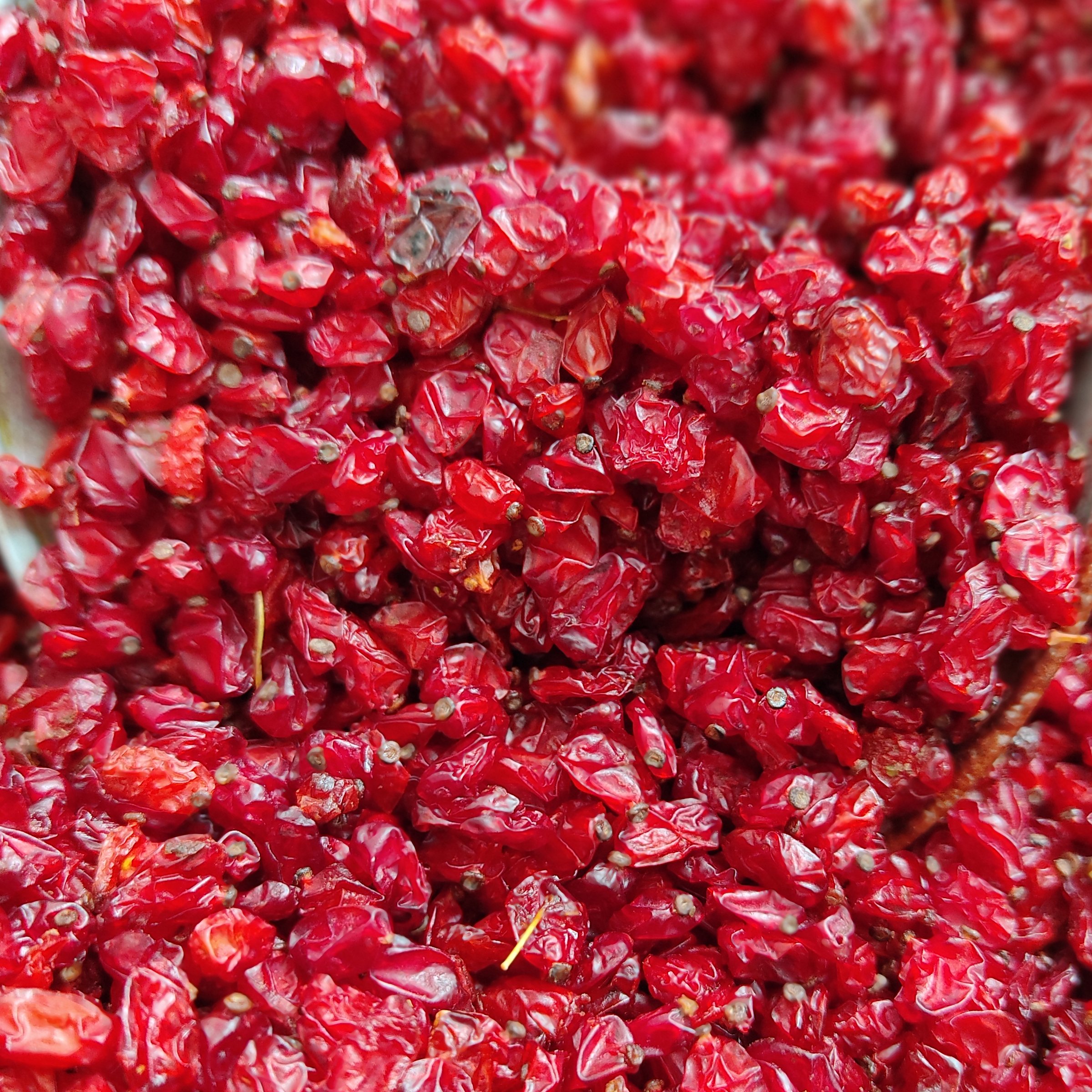 زرشک قاینات