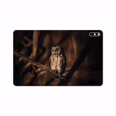 برچسب پوششی ماهوت مدل Owl مناسب برای تبلت هوآوی Matepad 10.4 2020 BAH3-L09