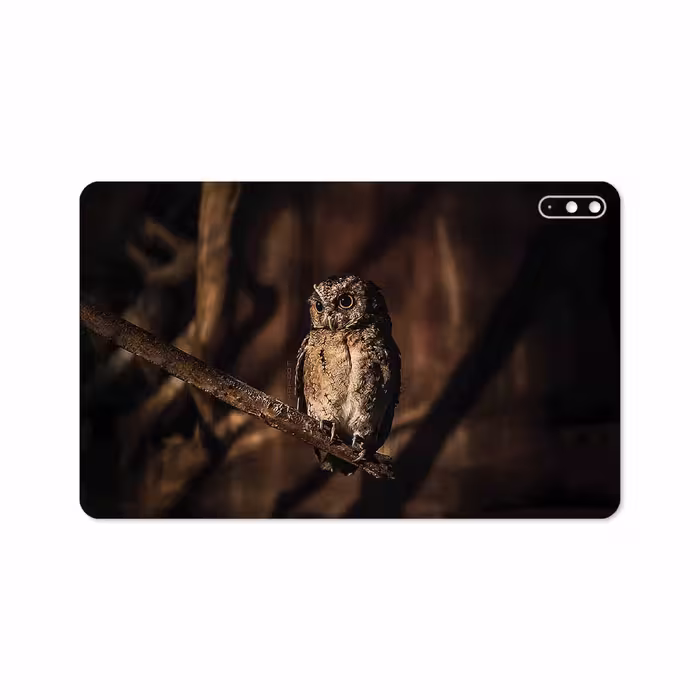 برچسب پوششی ماهوت مدل Owl مناسب برای تبلت هوآوی Matepad 10.4 2020 BAH3-L09