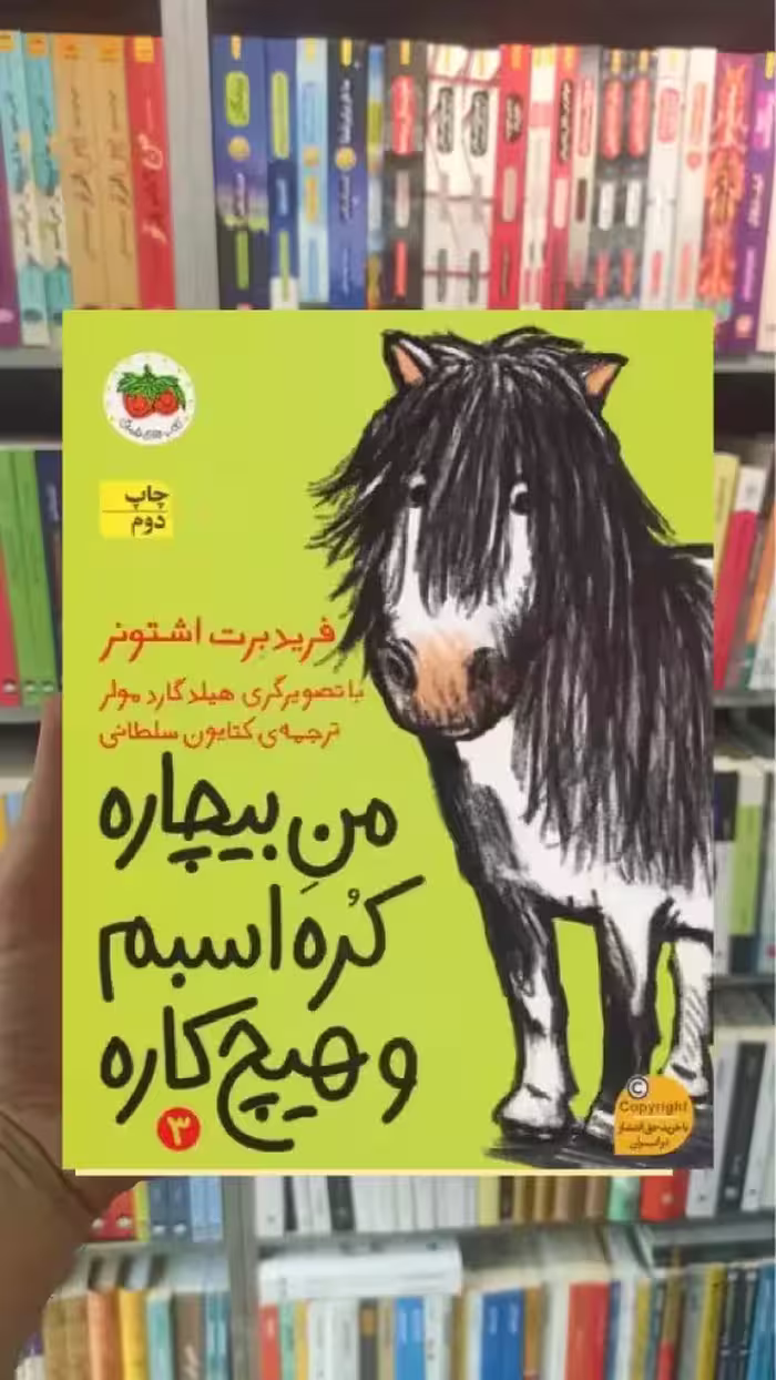 من بیچاره کره اسبم و هیچ کاره افق