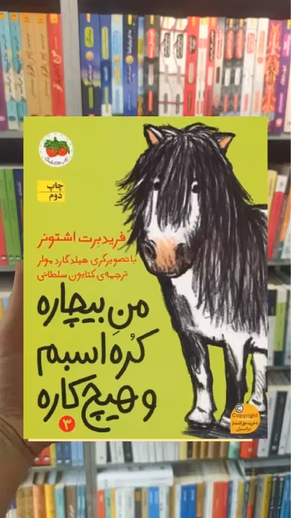 من بیچاره کره اسبم و هیچ کاره افق