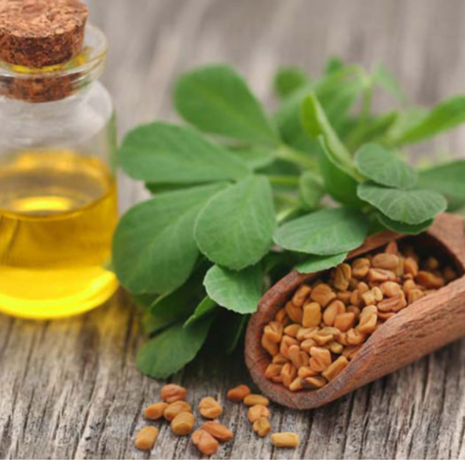 روغن شنبلیله 30سی سی مناسب پوست