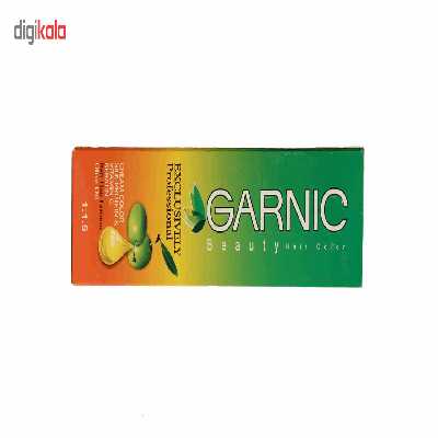 کتاب آموزش گام به گام پروژه محور Director اثر علیرضا افشار